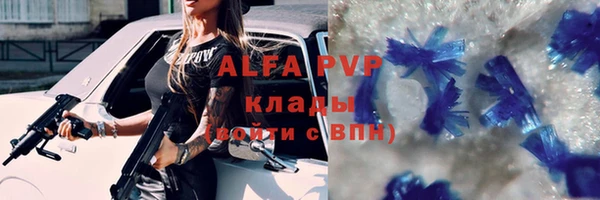 круглые Пересвет
