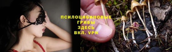 таблы Пестово