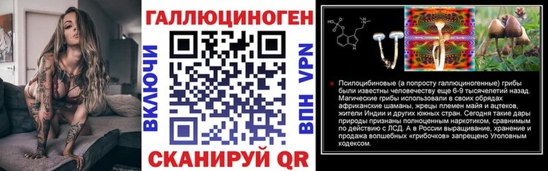 где можно купить   Рассказово  Галлюциногенные грибы Psilocybine cubensis 