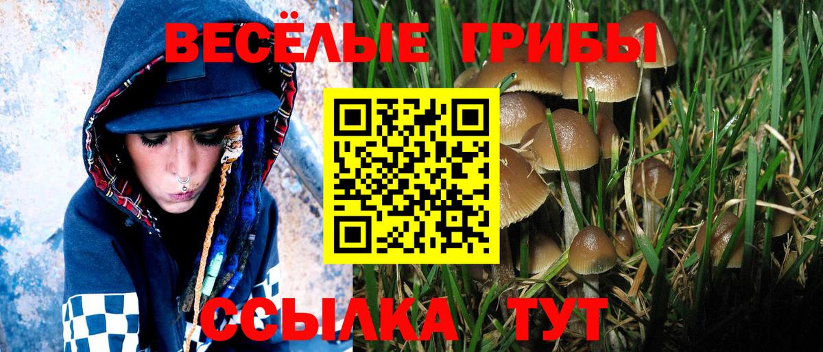 Рассказово  Псилоцибиновые грибы мицелий  где можно купить   Вход с VPN 