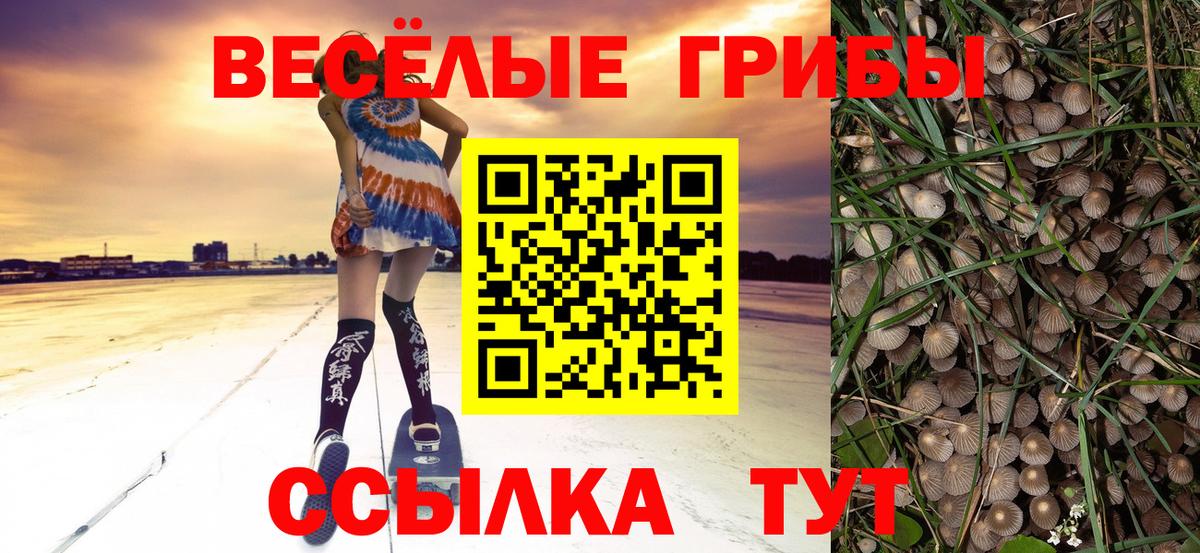 МЕФ  Alpha-PVP СОЛЬ   ГАШИШ  Каннабис  Меф   Рассказово  Вход с VPN 