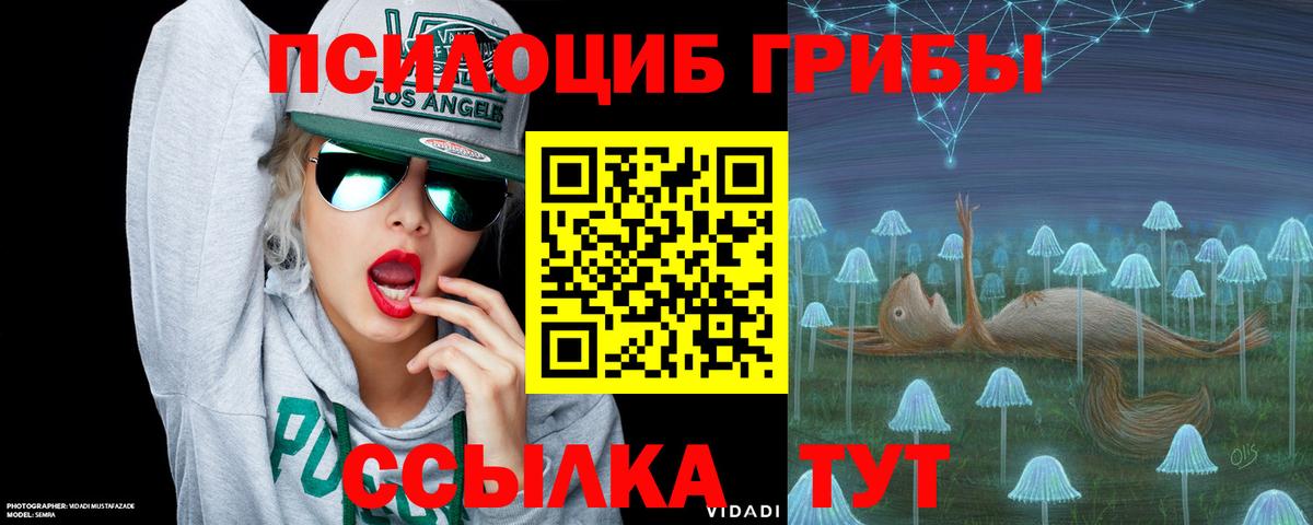 Галлюциногенные грибы прущие грибы Рассказово